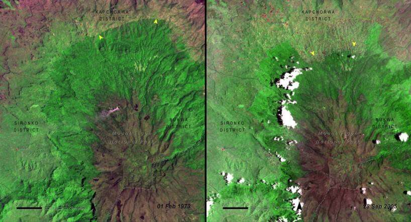 deforestation-around-mount-elgon-national-park-uganda-1973-vs-2005