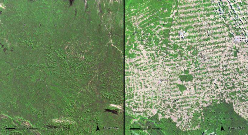 deforestation-in-rondonia-brazil-1975-vs-2009