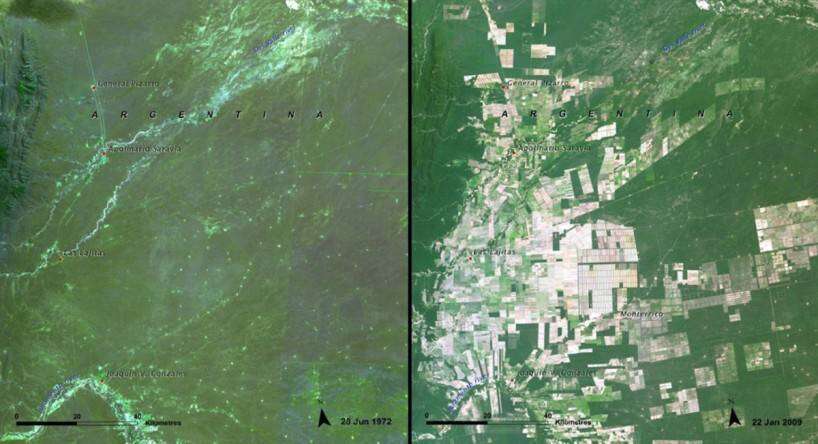 deforestation-of-the-salta-forest-argentina-1972-vs-2009