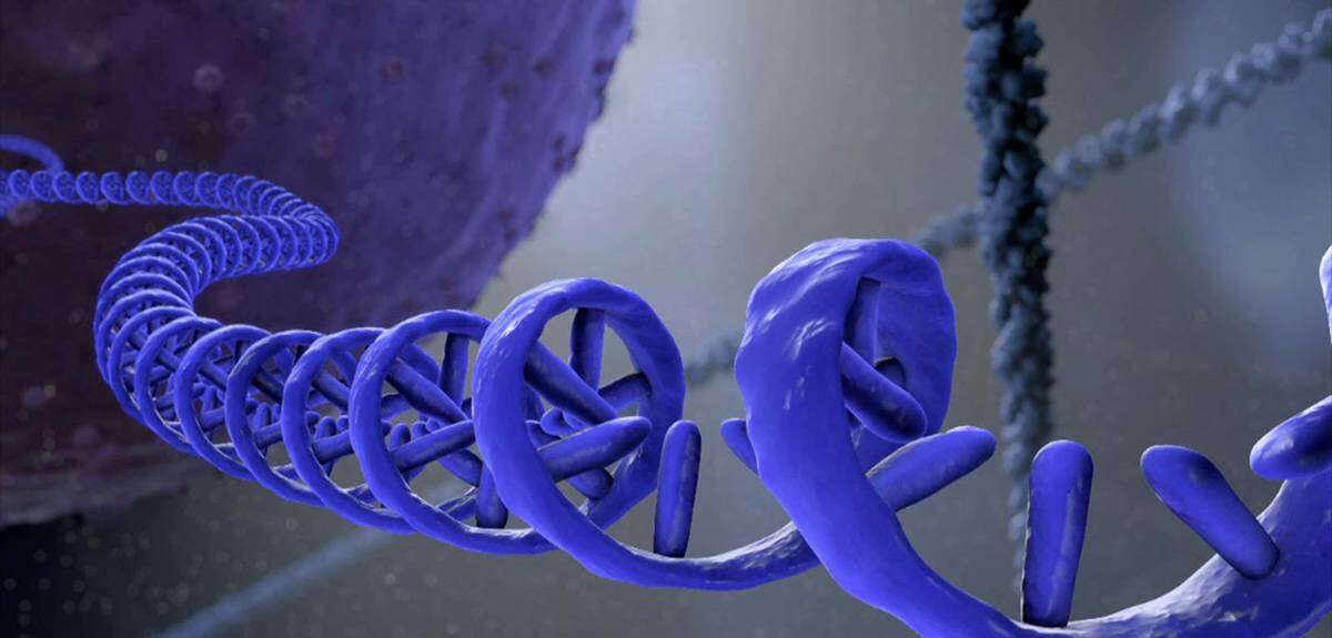 Днк без рекламы ютуб. РНК. Цепочка ДНК под микроскопом. Одноцепочная молекула РНК. РНК под микроскопом.
