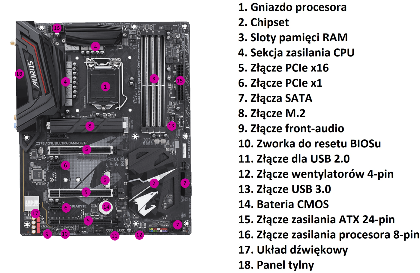 PORADNIK: Formaty i kluczowe elementy płyt głównych