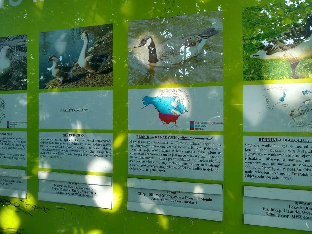 Test Motorola Moto G6, czyli porządny smartfon za dobre pieniądze