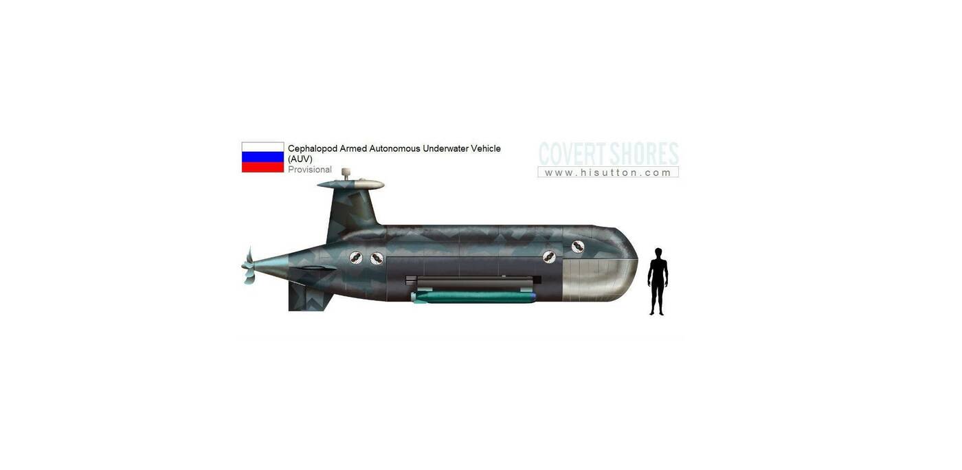 Rosja, wojsko, militaria, dron, podwodny dron, Cephalopod, broń, statek podwodny, Poseidon