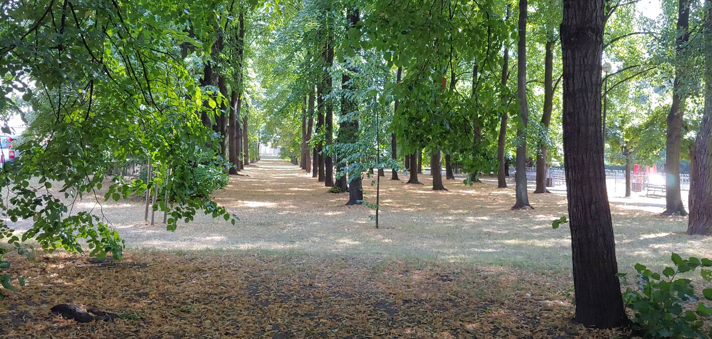 Recenzja LG G7 po miesiącu użytkowania