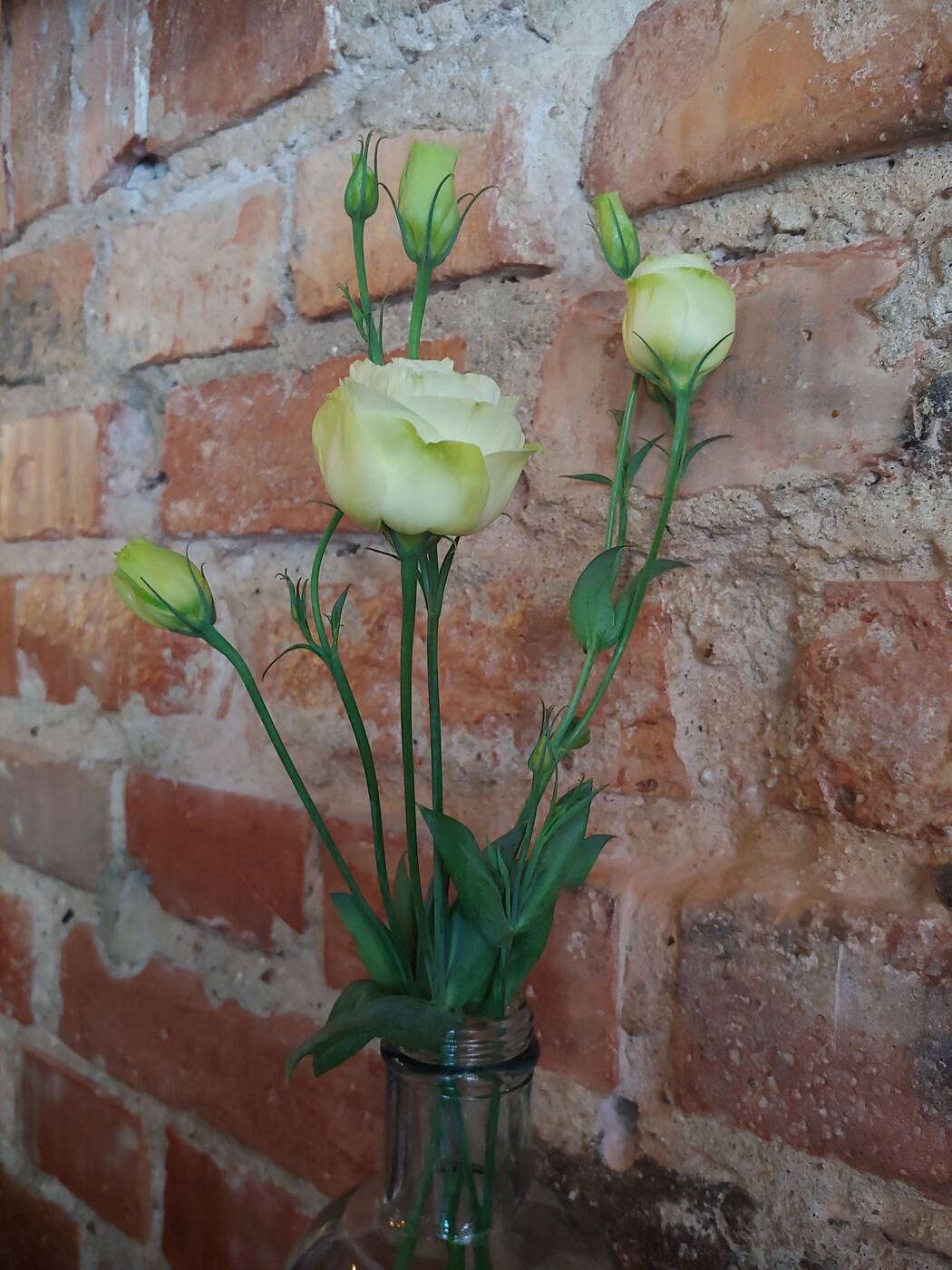 Recenzja LG G7 po miesiącu użytkowania