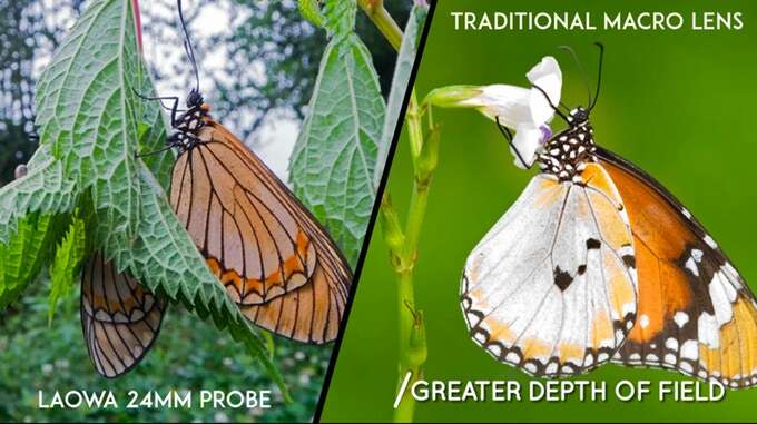 Obiektyw Laowa Probe zapowiada rewolucję w zdjęciach makro