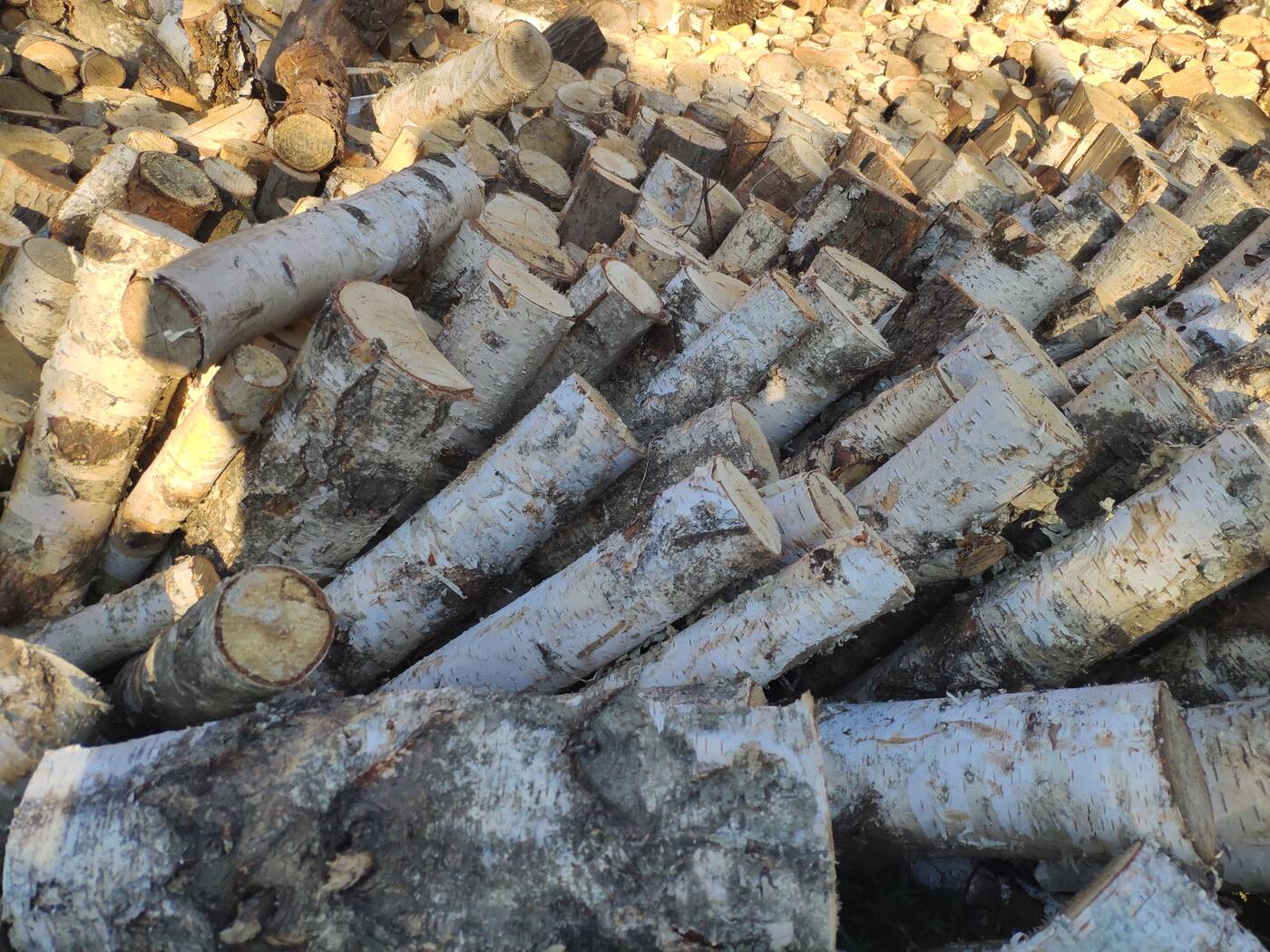 Test Mi Mix 2S - Bez notcha też się da!