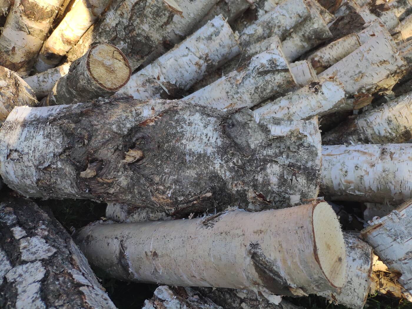 Test Mi Mix 2S - Bez notcha też się da!