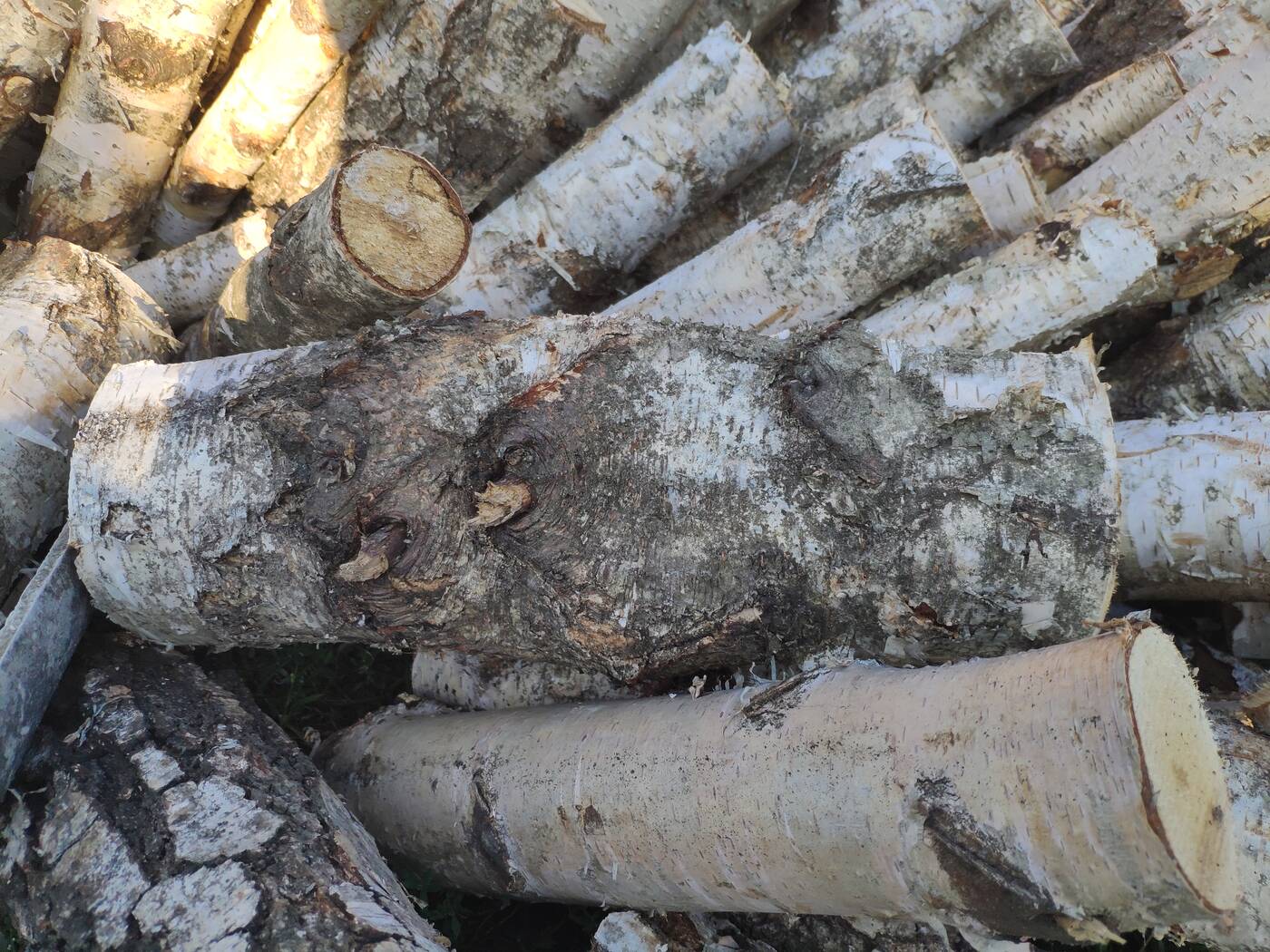 Test Mi Mix 2S - Bez notcha też się da!