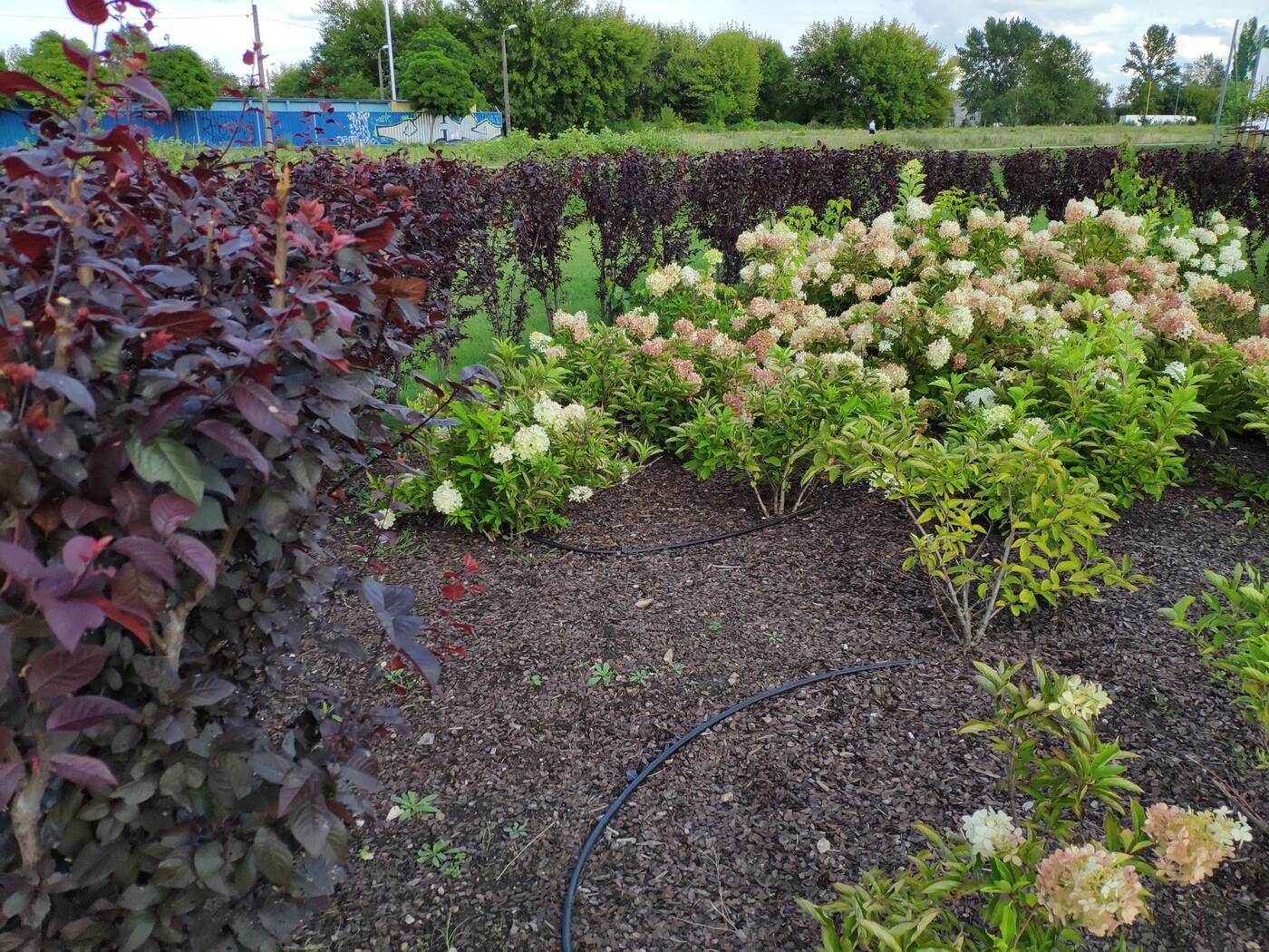 Test Mi Mix 2S - Bez notcha też się da!