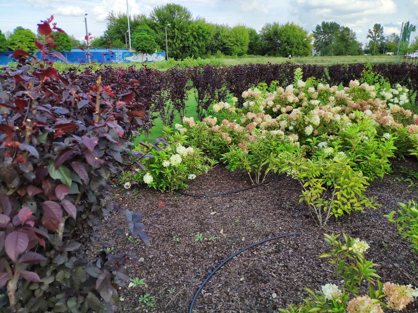 Test Mi Mix 2S - Bez notcha też się da!