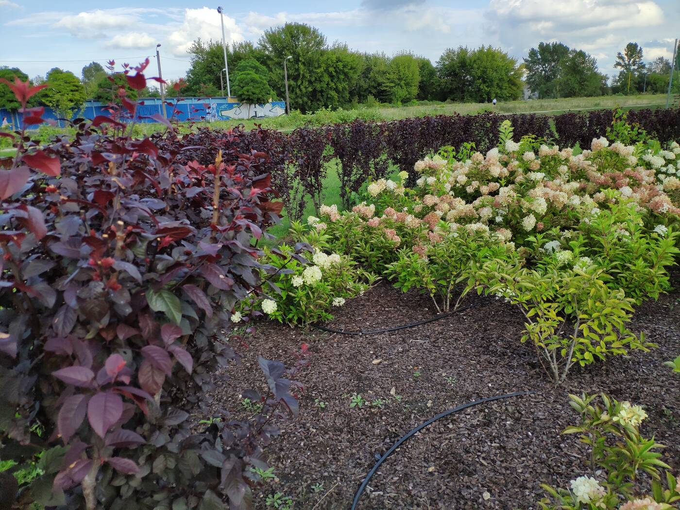 Test Mi Mix 2S - Bez notcha też się da!