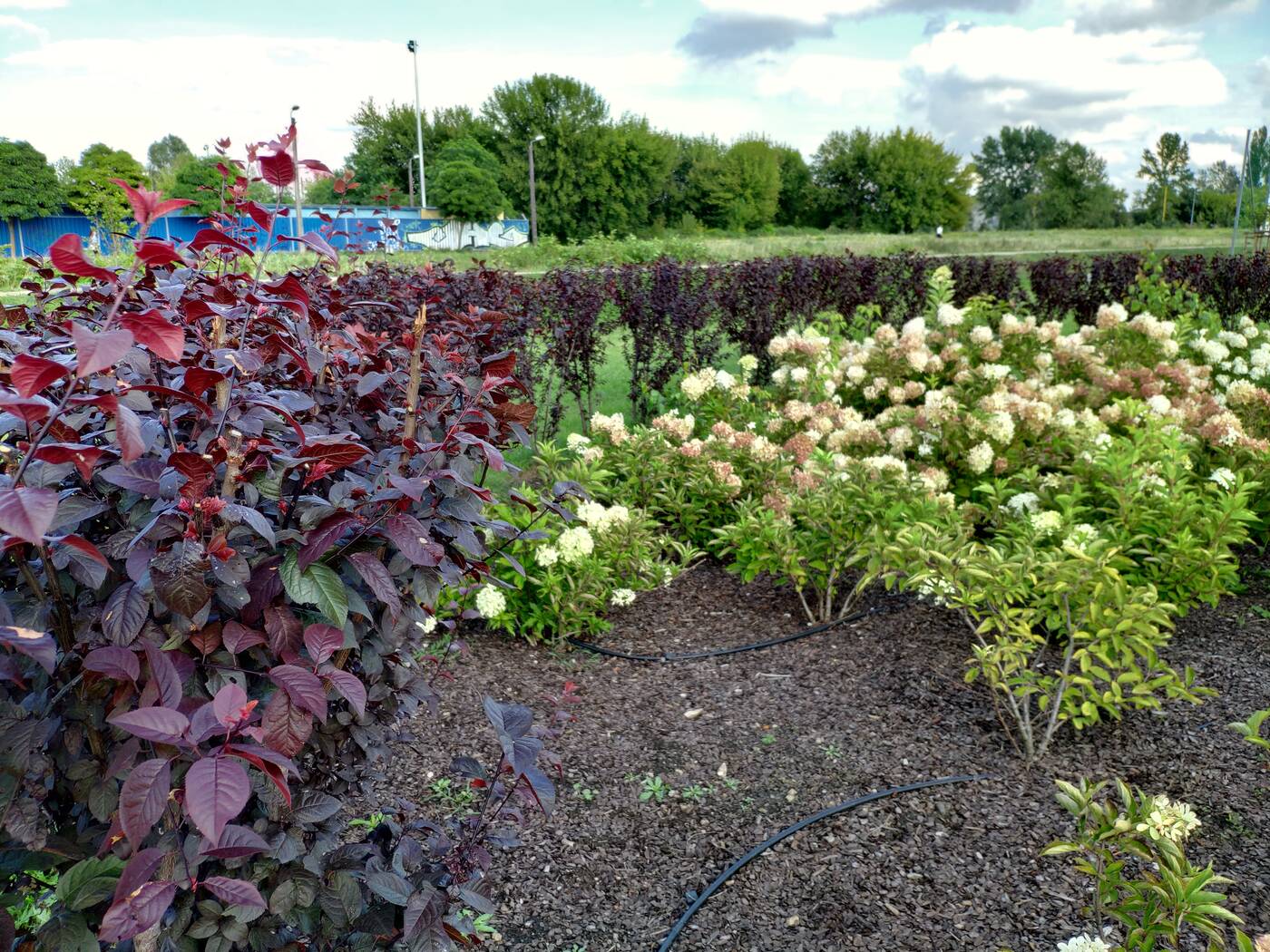 Test Mi Mix 2S - Bez notcha też się da!