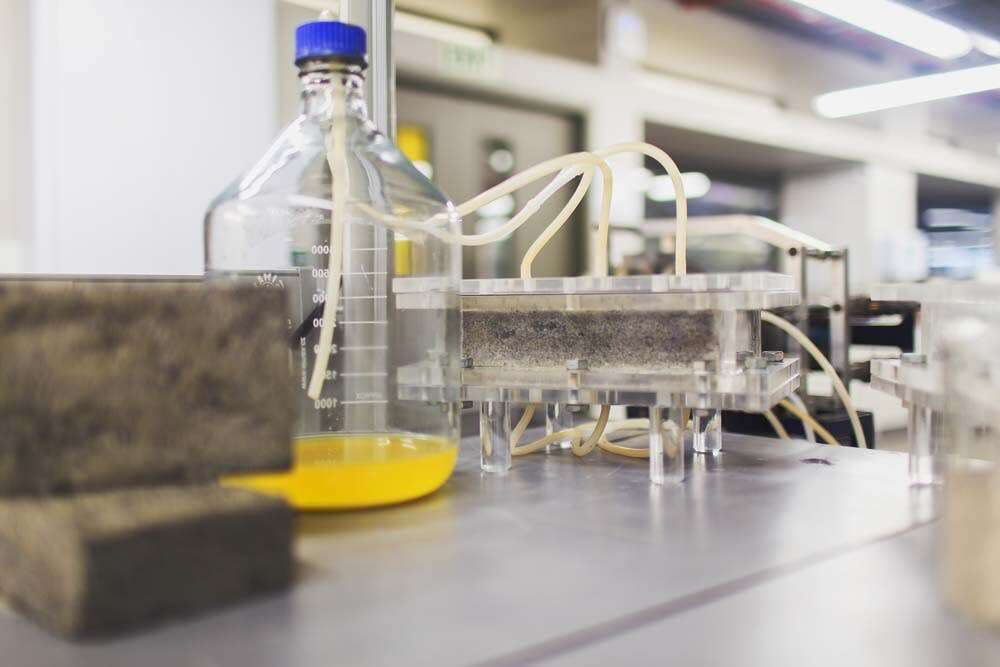 Naukowcy tworzą cegły z ludzkiego moczu