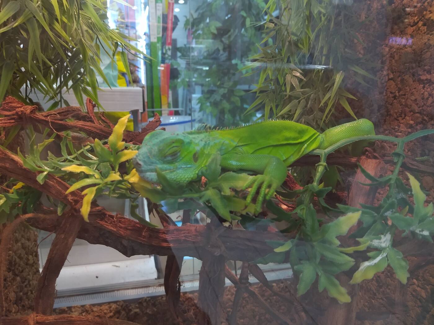 Test Smartfona Motorola One