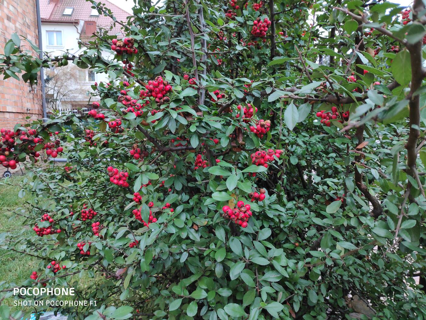 test Xiaomi Pocofone F1, Pocofone, opinie Xiaomi Pocofone F1, wrażenia Xiaomi Pocofone F1, review Xiaomi Pocofone F1, test Pocofone F1, recenzja Pocofone F1, opinie Pocofone F1, wrażenia Pocofone F1, Pocofone F1, test Pocofone, recenzja Pocofone, opinia Pocofone, wrażenia Pocofone, Xiaomi,