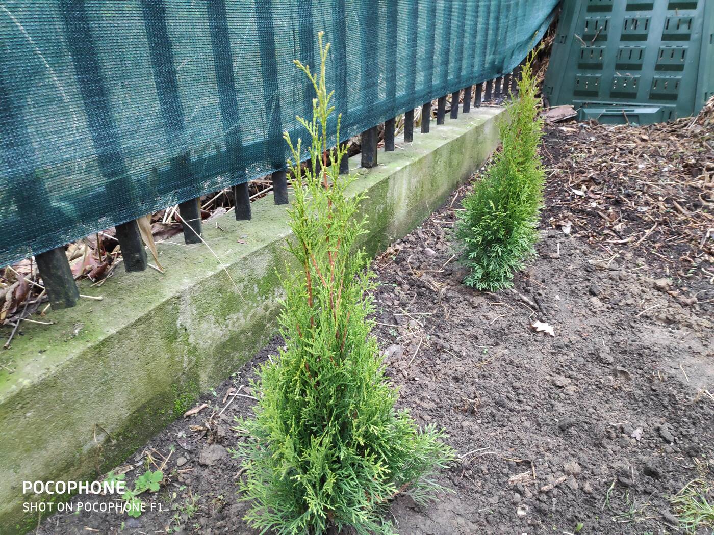 test Xiaomi Pocofone F1, Pocofone, opinie Xiaomi Pocofone F1, wrażenia Xiaomi Pocofone F1, review Xiaomi Pocofone F1, test Pocofone F1, recenzja Pocofone F1, opinie Pocofone F1, wrażenia Pocofone F1, Pocofone F1, test Pocofone, recenzja Pocofone, opinia Pocofone, wrażenia Pocofone, Xiaomi,