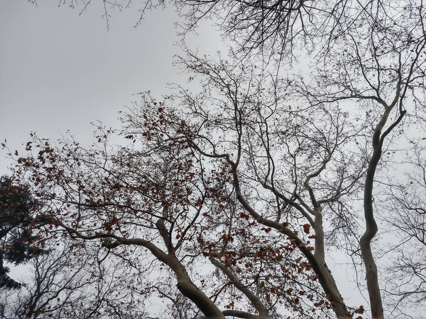 Test smartfonu Motorola Moto G6 Plus