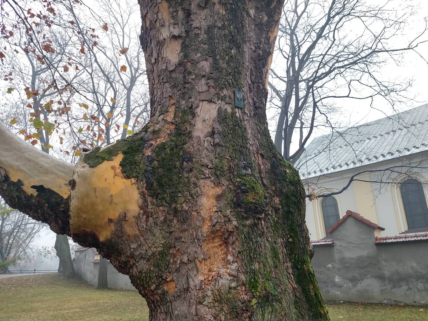 Test smartfonu Motorola Moto G6 Plus