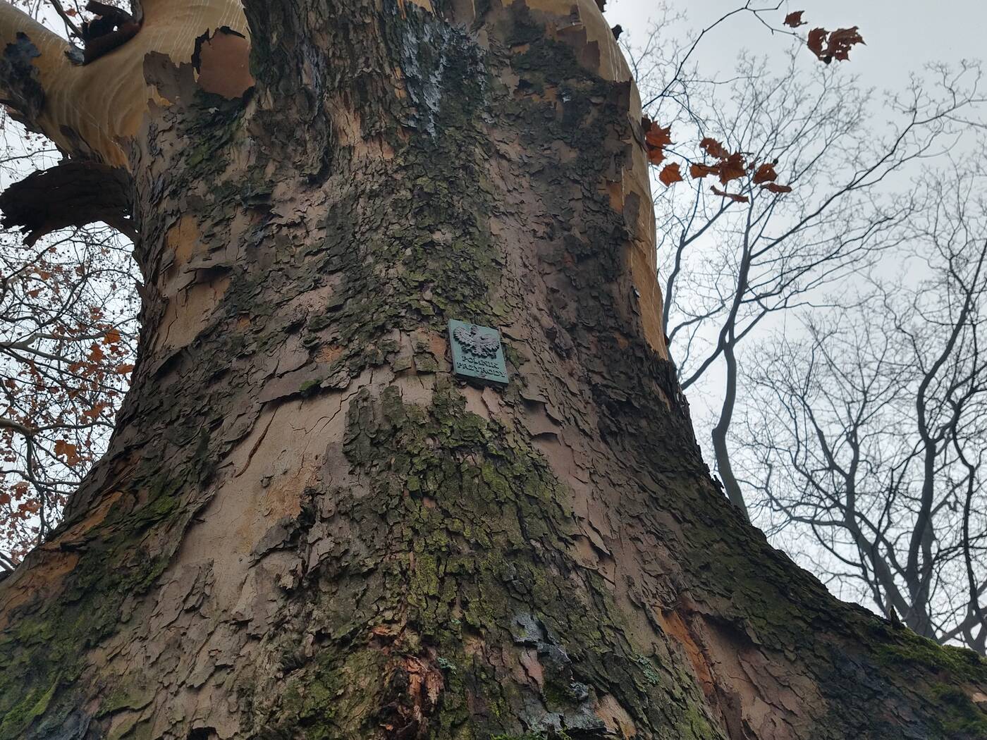 Test smartfonu Motorola Moto G6 Plus