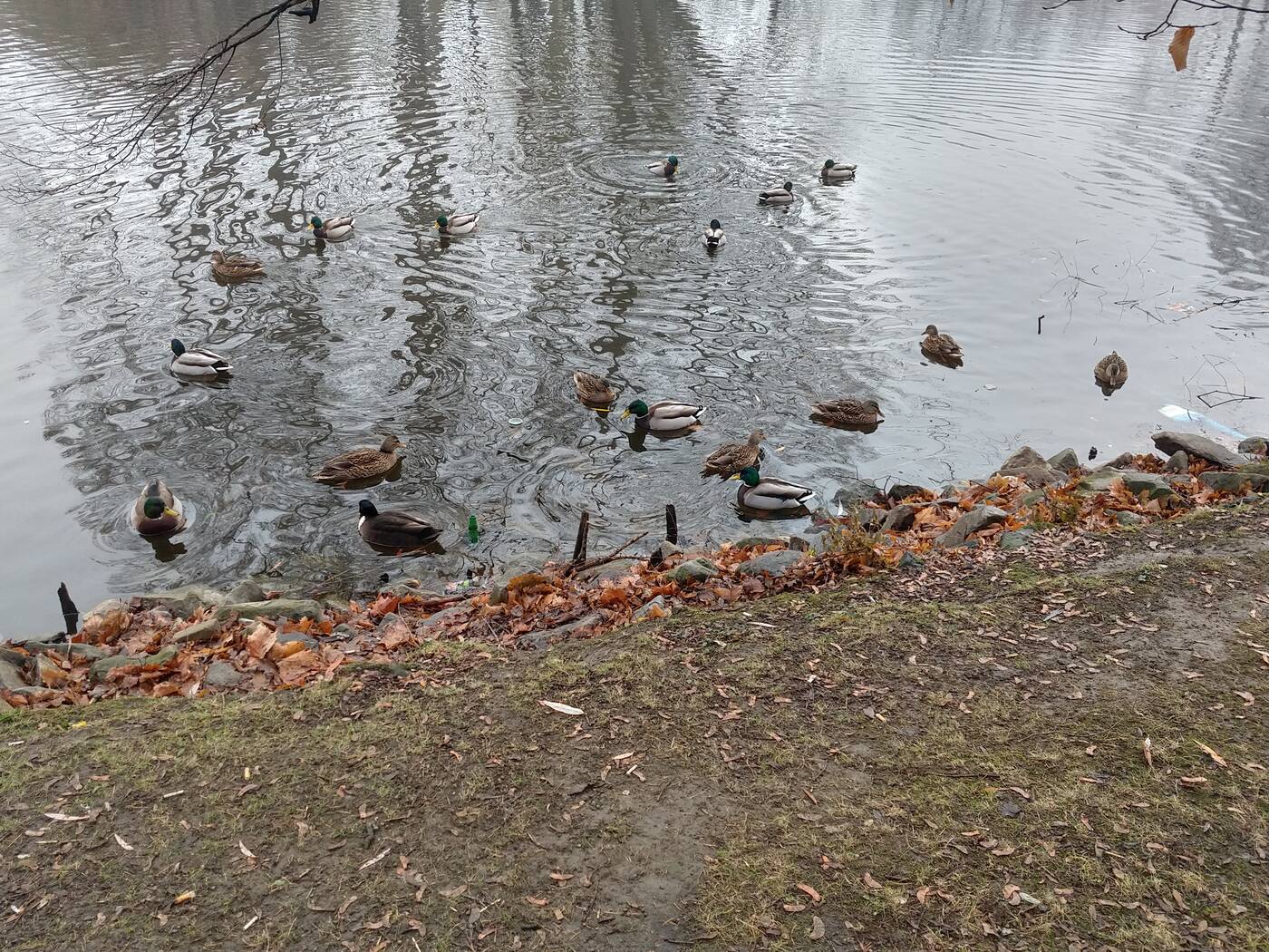 Test smartfonu Motorola Moto G6 Plus