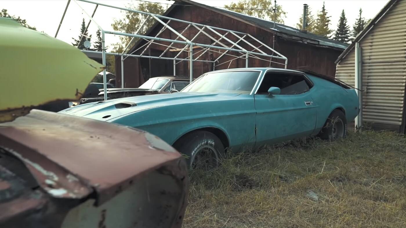 Alaska okazała się skarbnicą kilkudziesięcioletnich Mustangów