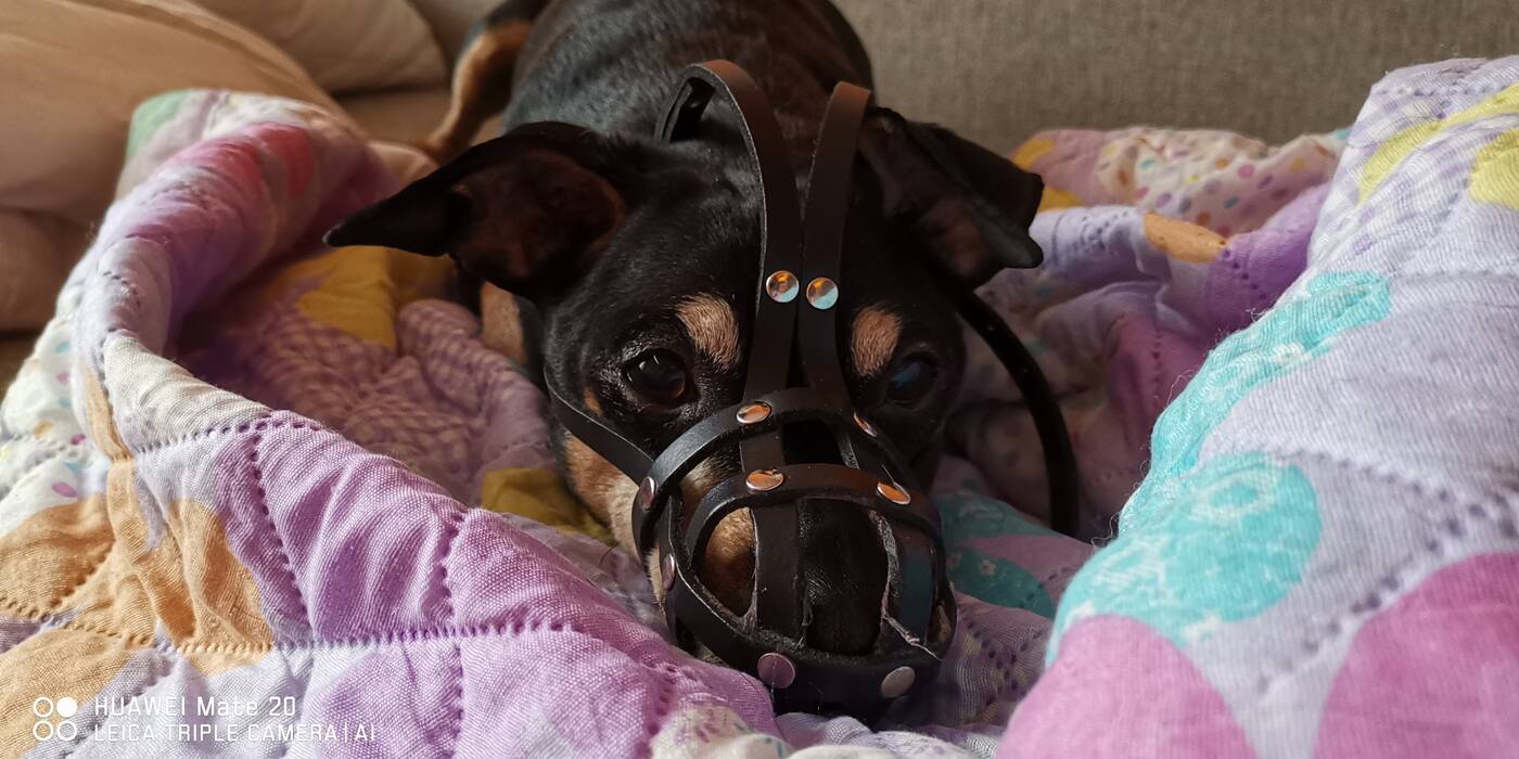 test Huawei Mate 20, opinia Huawei Mate 20, opinie Huawei Mate 20, wrażenia Huawei Mate 20, użytkowanie Huawei Mate 20, wygląd Huawei Mate 20, Mate 20, test mate 20, opinie mate 20, wrażenia mate 20, opinia mate 20, recenzja Huawei Mate 20, recenzja mate 20, huawei, huawei mate, review Huawei Mate 20, review mate 20,