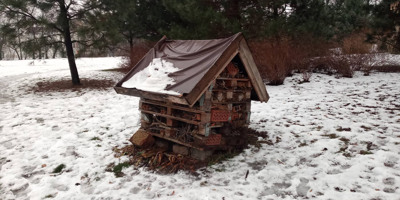 recenzja Alcatel 5V, Alcatel 5V, opinie Alcatel 5V, opinia Alcatel 5V, wrażenia Alcatel 5V, telefon Alcatel 5V, recenzje Alcatel 5V, smartfon Alcatel 5V, testy Alcatel 5V, review Alcatel 5V, oceny Alcatel 5V, użytkowanie Alcatel 5V,