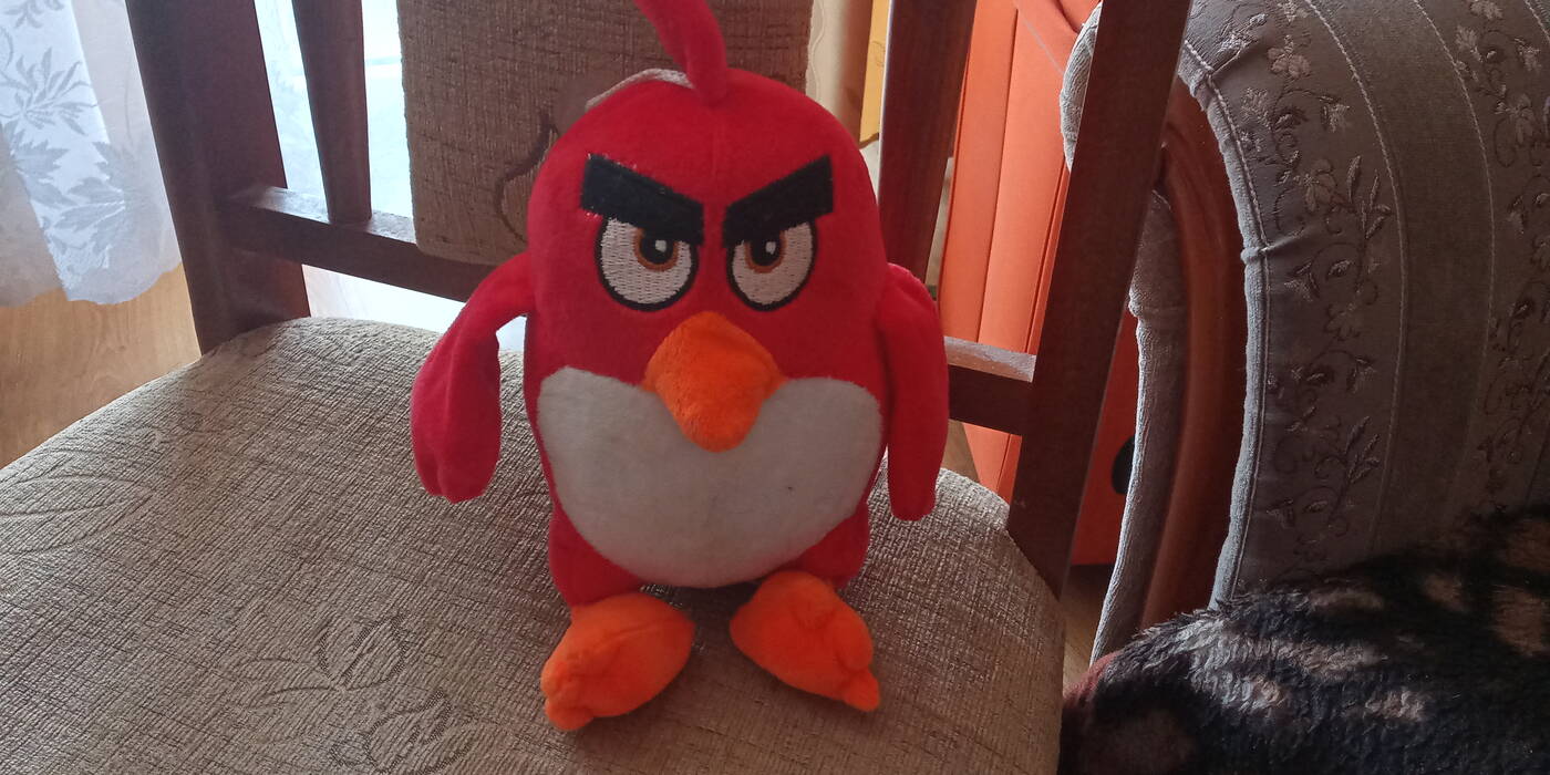 recenzja Alcatel 5V, Alcatel 5V, opinie Alcatel 5V, opinia Alcatel 5V, wrażenia Alcatel 5V, telefon Alcatel 5V, recenzje Alcatel 5V, smartfon Alcatel 5V, testy Alcatel 5V, review Alcatel 5V, oceny Alcatel 5V, użytkowanie Alcatel 5V,