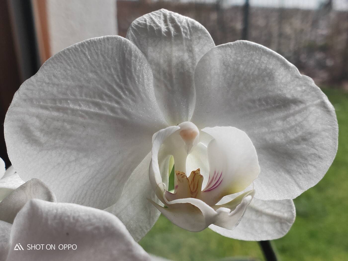 RX17, RX17 pro, oppo, test RX17, test rx17 pro, recenzja rx17, recenzja rx17 pro, opinia rx17 pro, oceny rx17 pro, opinie rx 17 pro, ocena rx17 pro, test OPPO RX17 Pro, recenzja OPPO RX17 Pro, recenzje OPPO RX17 Pro, oppo rx17, testy OPPO RX17 Pro, test oppo rx17, testy OPPO RX17, recenzja OPPO RX17, recenzje OPPO RX17, opinia OPPO RX17, opinie OPPO RX17, testy OPPO RX17 Pro, opinia OPPO RX17 Pro, opinie OPPO RX17 Pro, ocena OPPO RX17 Pro, oceny OPPO RX17 Pro, wrażenia OPPO RX17 Pro,