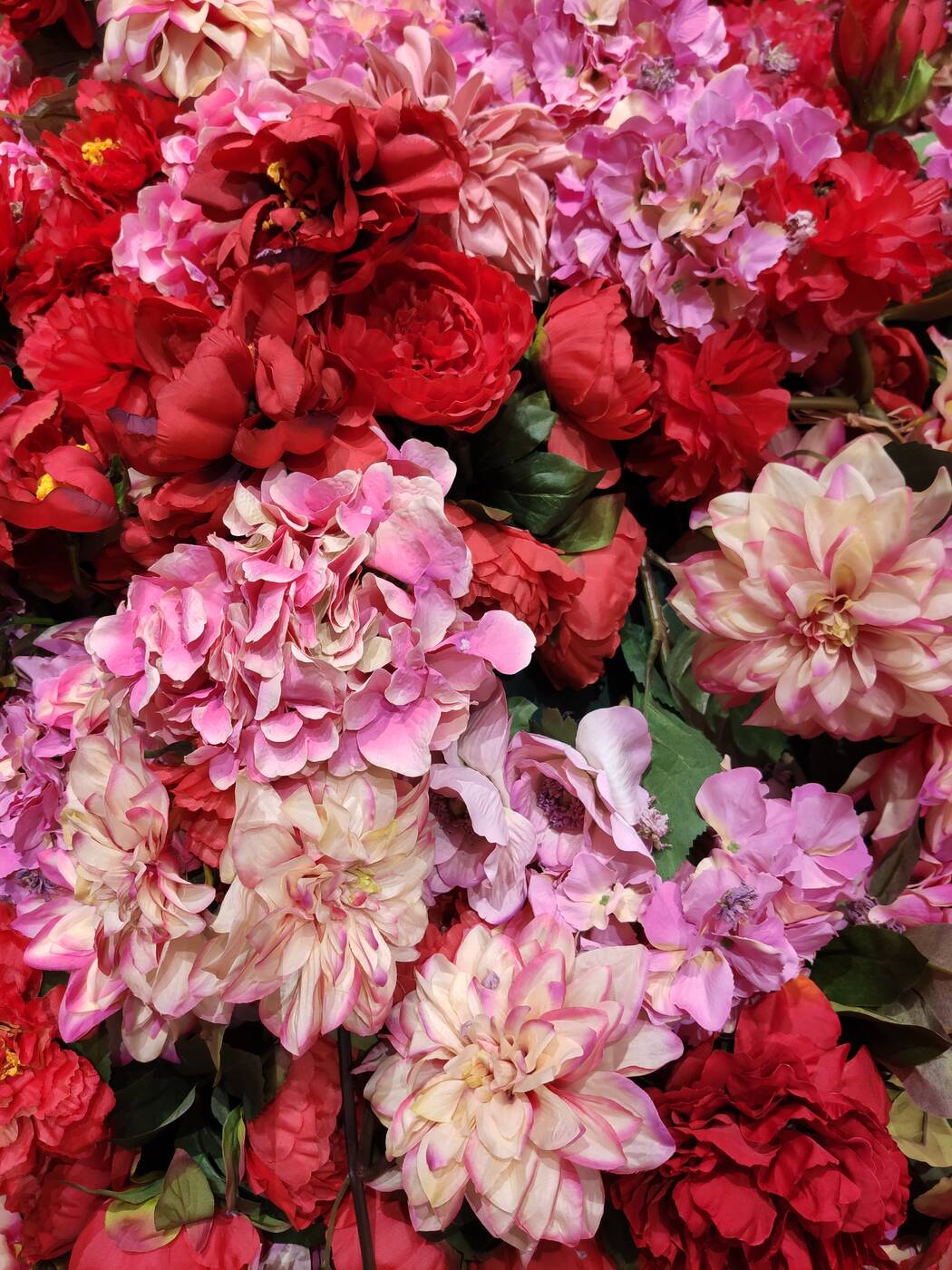 Xiaomi Mi 9, zdjęcia wykonane Xiaomi Mi 9, 48 MP aparat Xiaomi Mi 9, aparat Xiaomi Mi 9