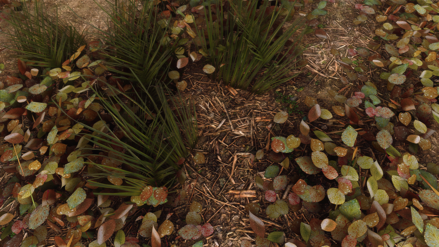 Ten mod do Skyrima sprawia, że gra jeszcze nigdy nie wyglądała tak dobrze