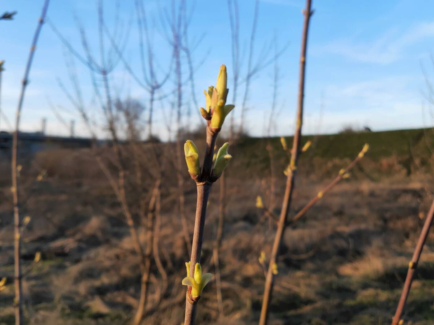 Test OPPO Find X – Innowacyjny powiew świeżości