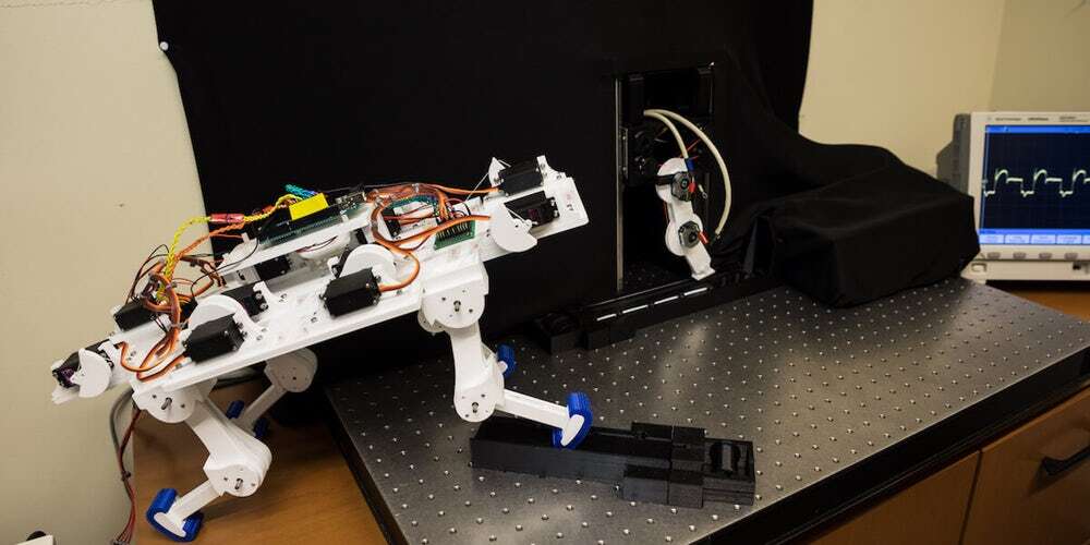 Naukowcy stworzyli robotyczną nogę uczącą się chodzić