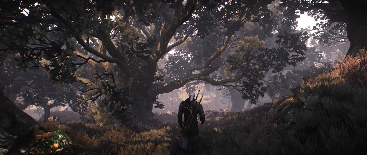 Ведьмак мод графика. Ведьмак 3 Reshade. The Witcher 3 Wild Hunt Reshade мрачный. Скриншоты Ведьмак Reshade. Witcher 3 loading Screen.