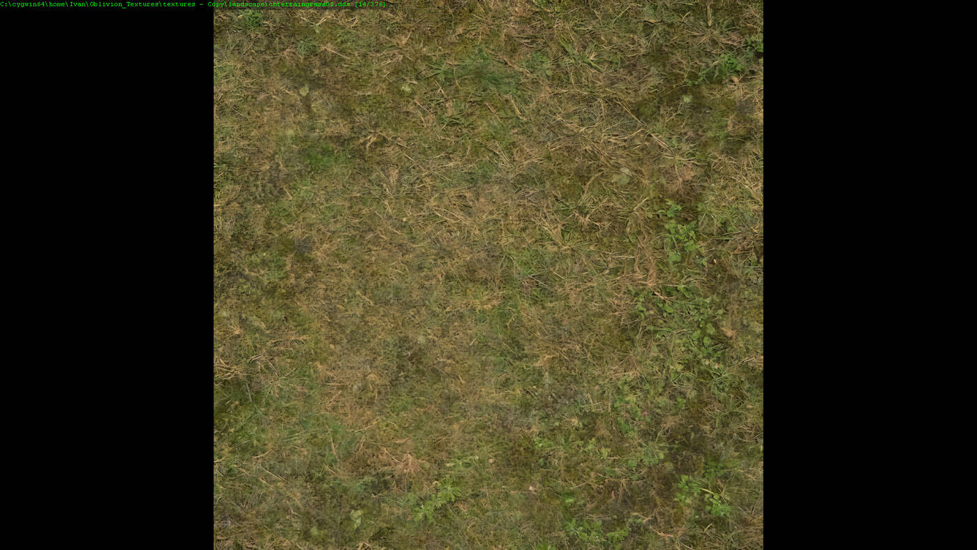 The Elder Scrolls IV: Oblivion w 8K - tytuł został odświeżony