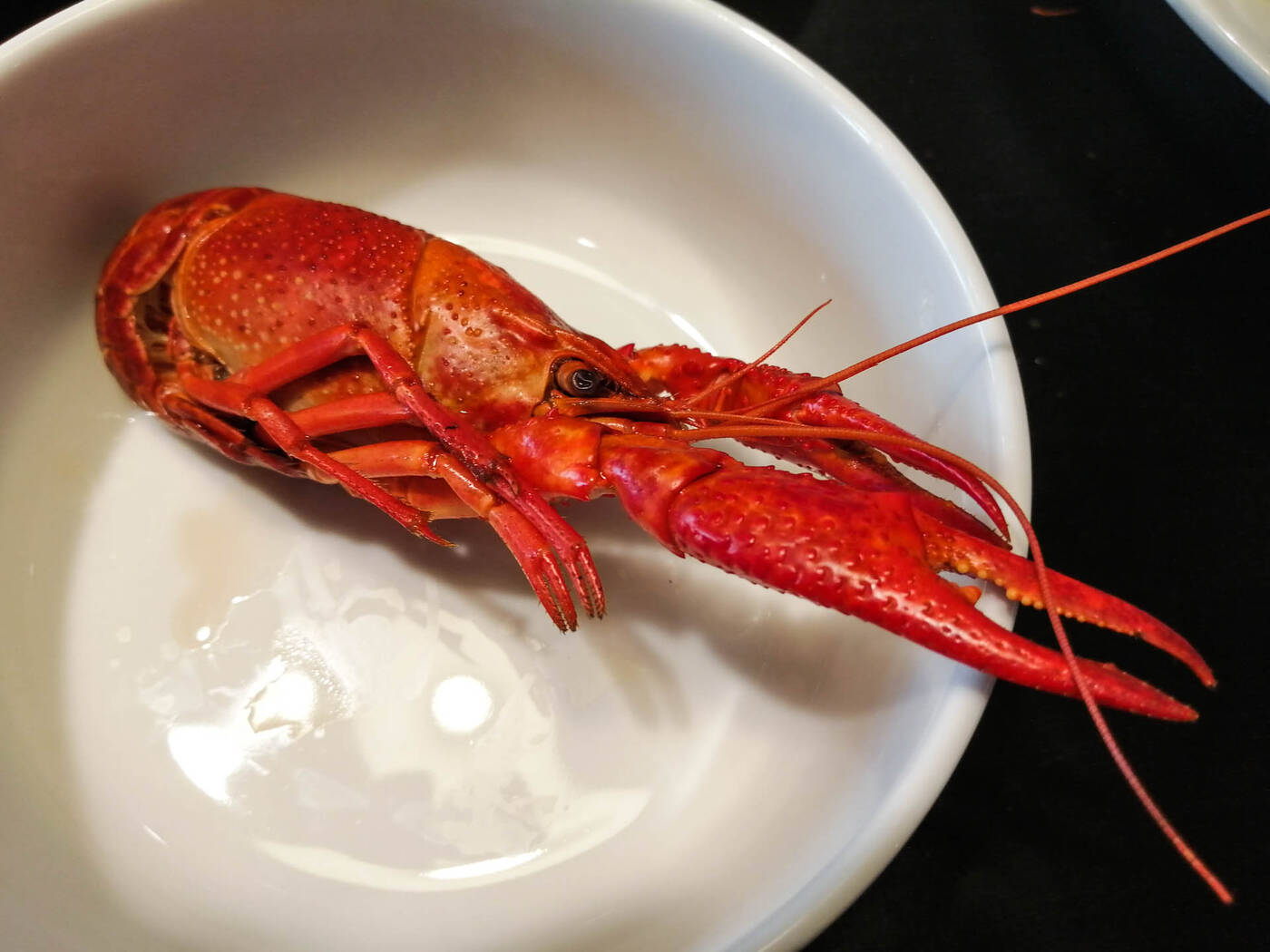 Recenzja Honor 10 Lite