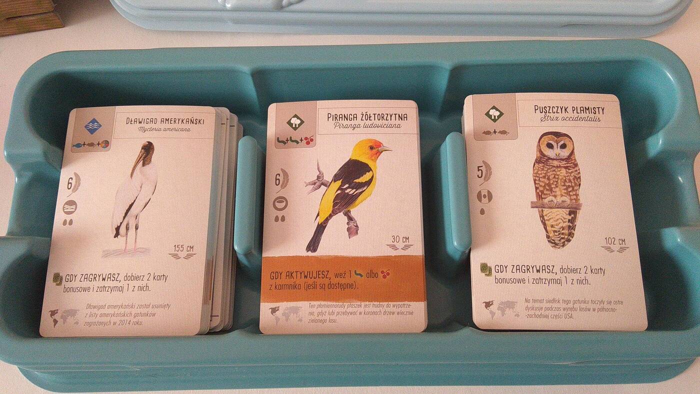 Na skrzydłach karty