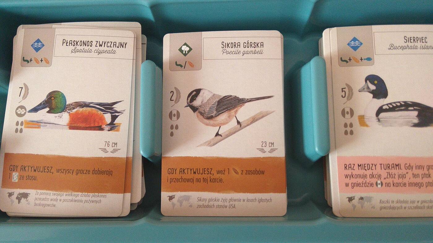 Na skrzydłach karty