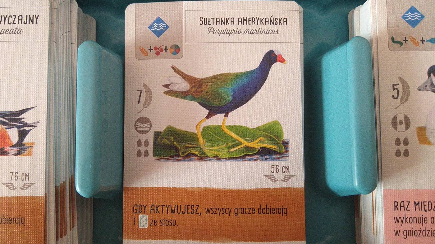 Na skrzydłach karty