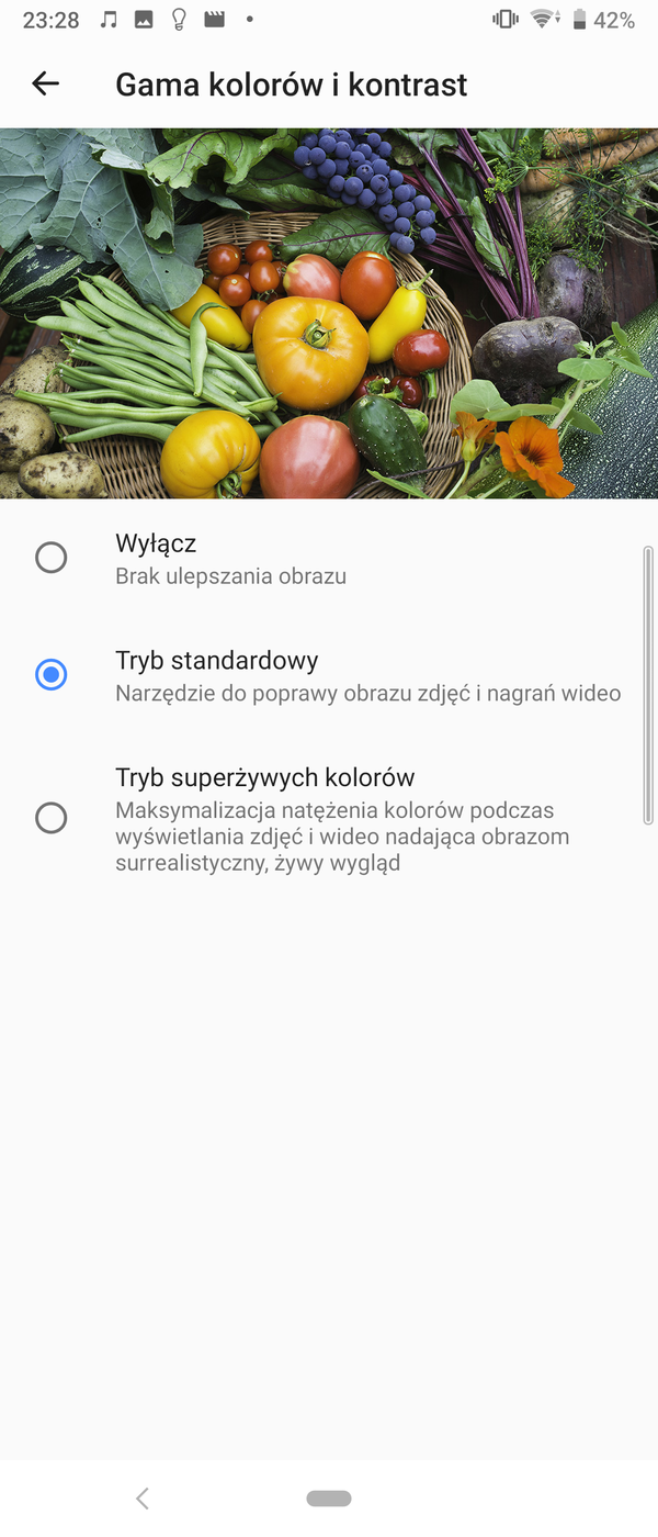 Test Sony Xperia 10 Plus – kinowy format w smartfonie!