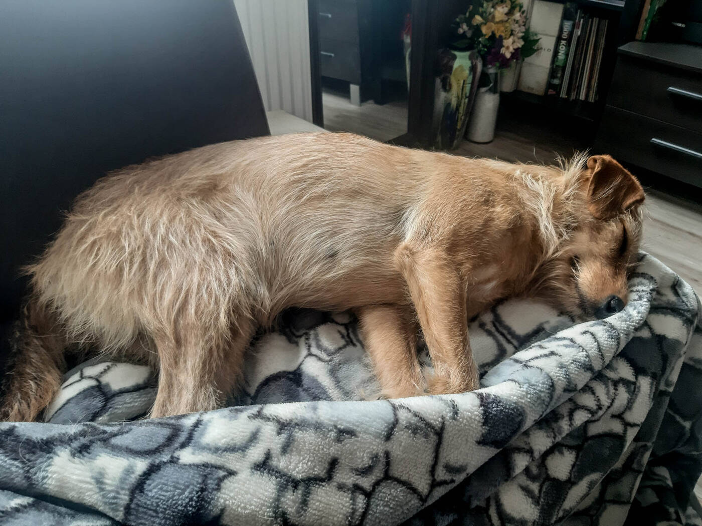 Test Samsung Galaxy A7 (2018)