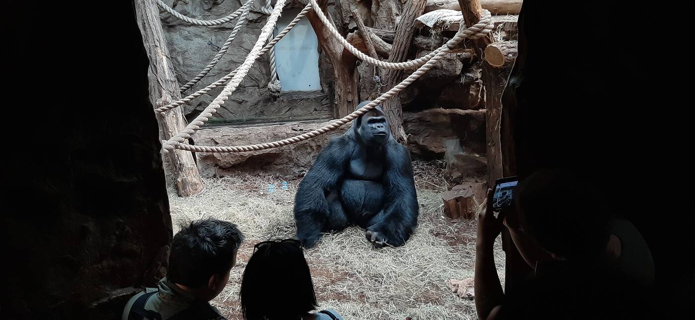 Test Samsung Galaxy A50 - pogromca Huawei P30 lite?