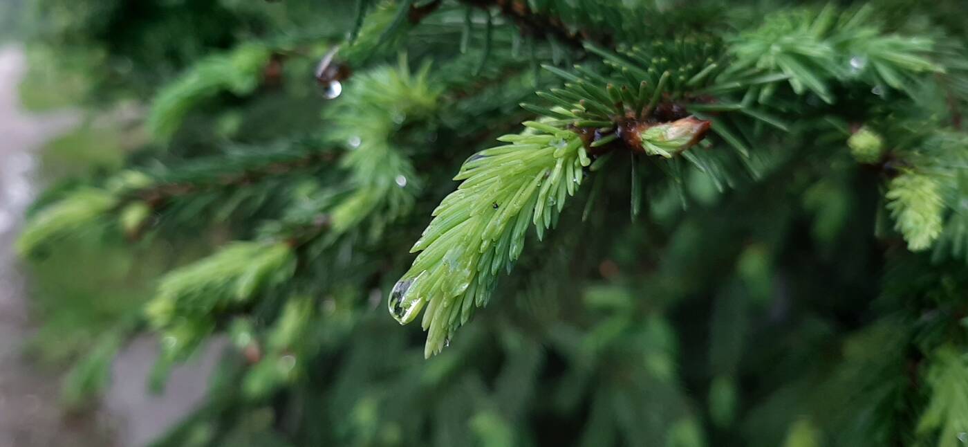 Test Samsung Galaxy A50 - pogromca Huawei P30 lite?