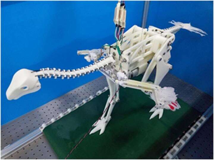 Robotyczny dinozaur pomaga rozwiązać tajemnice ewolucji zdolności latania