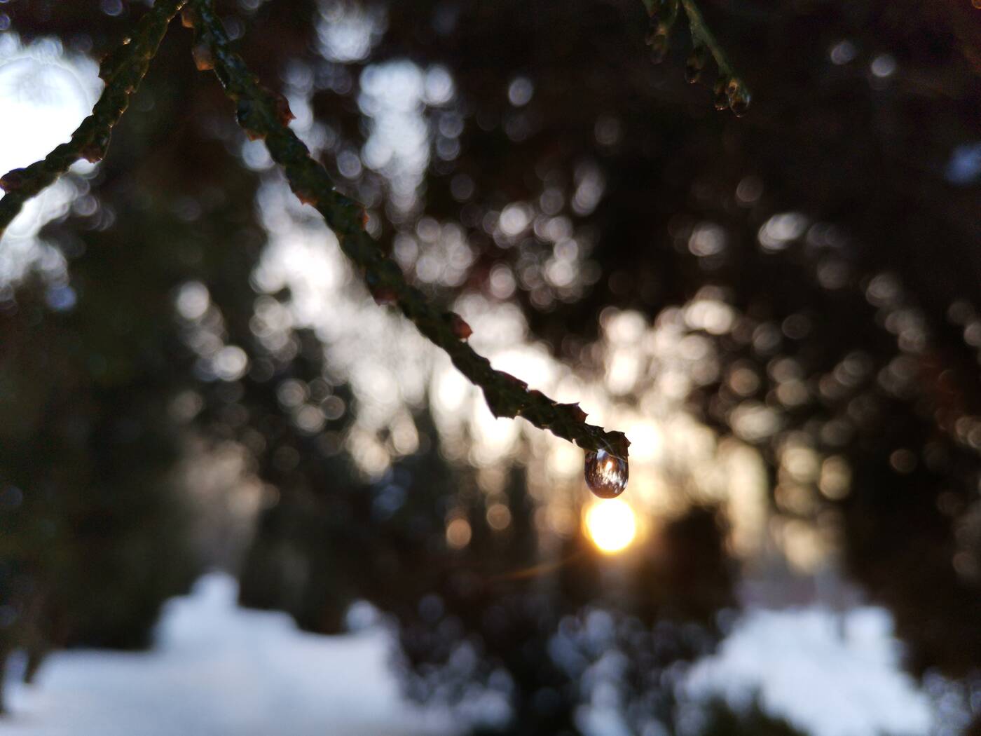 Test Honor View 20 - gdy Huawei jest za drogi