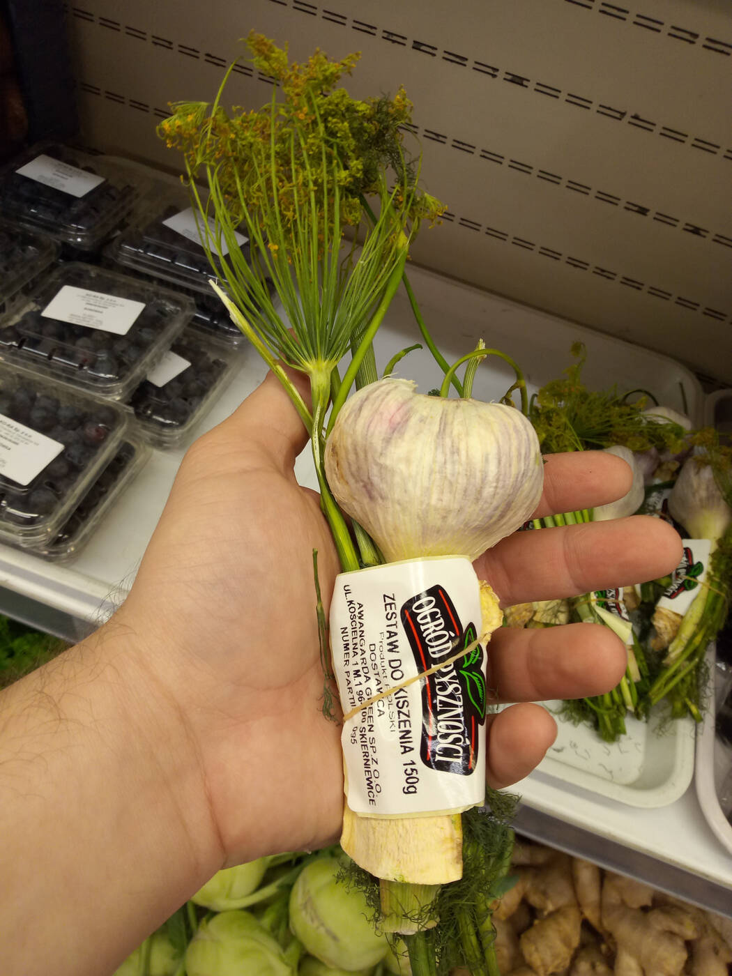 Neffos, test Neffos X9, opinia Neffos X9, specyfikacja Neffos X9, oceny Neffos X9, ocena Neffos X9, wygląd Neffos X9, aparat Neffos X9, ekran Neffos X9, kamera Neffos X9, wydajność Neffos X9, recenzja Neffos X9, oceny Neffos X9, opinie Neffos X9, testy Neffos X9, recenzje Neffos X9, Neffos X9,