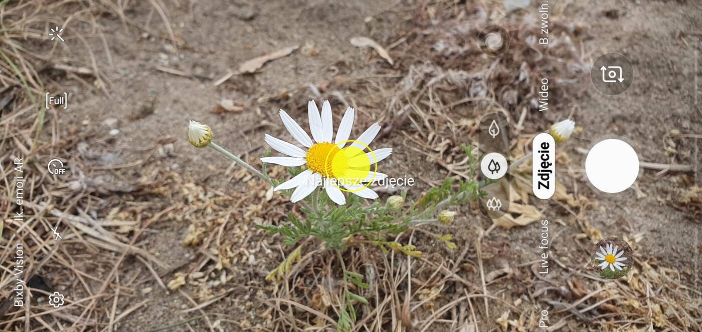 Test telefonu Samsung Galaxy S10+