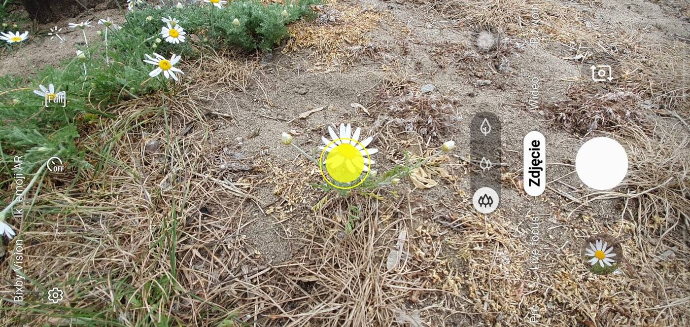 Test telefonu Samsung Galaxy S10+