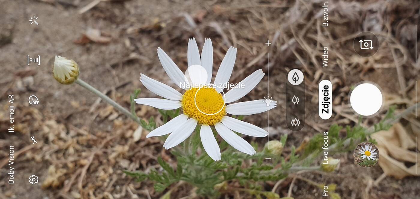 Test telefonu Samsung Galaxy S10+